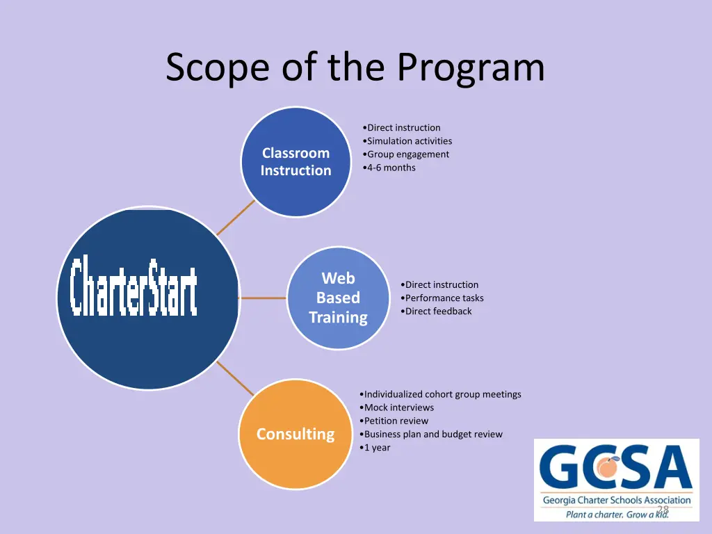 scope of the program