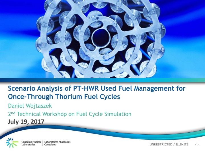 scenario analysis of pt hwr used fuel management