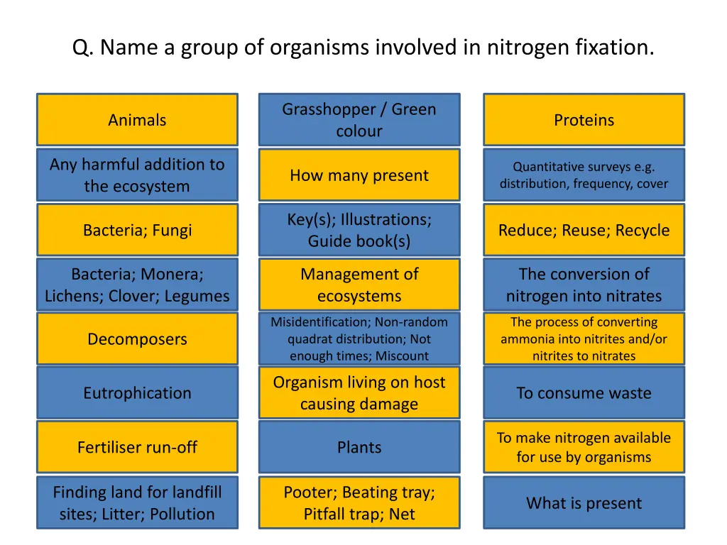 q name a group of organisms involved in nitrogen