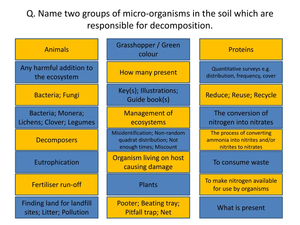q name two groups of micro organisms in the soil