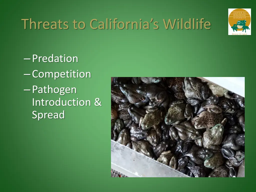 threats to california s wildlife