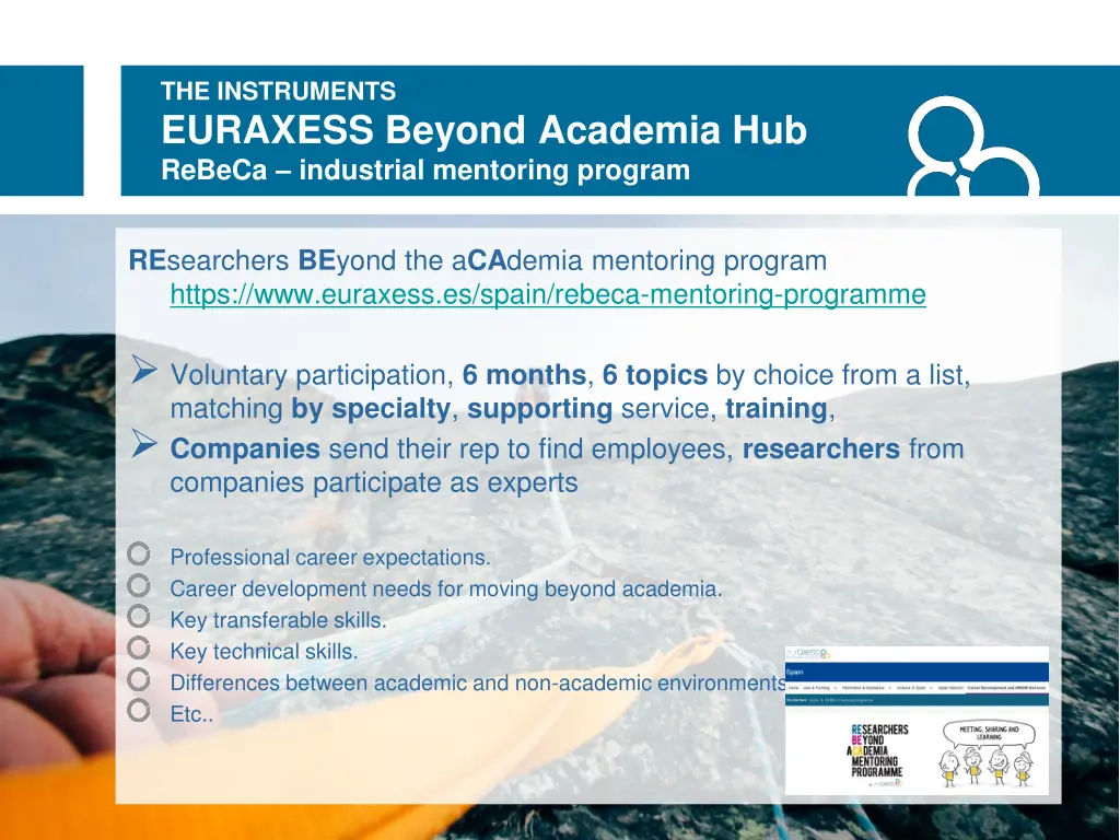 the instruments euraxess beyond academia