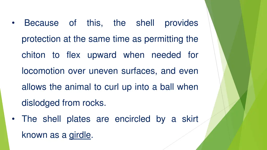 because of this the shell provides
