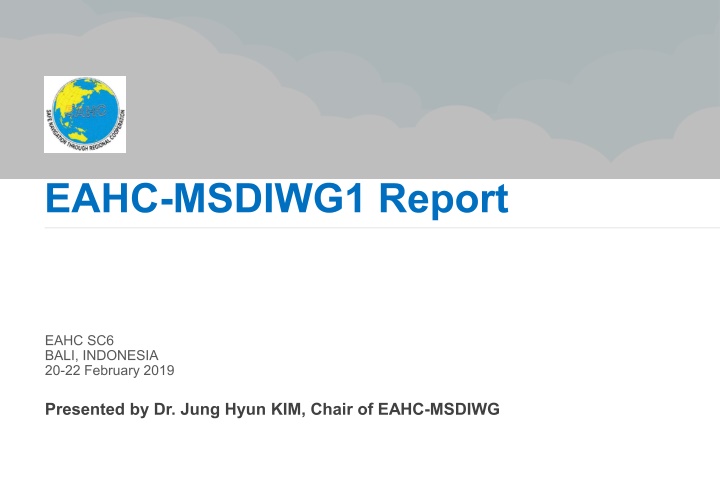 eahc msdiwg1 report