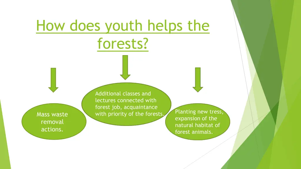 how does youth helps the forests