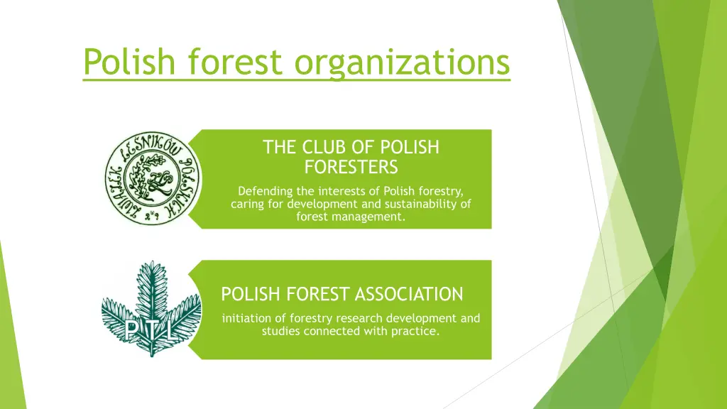 polish forest organizations
