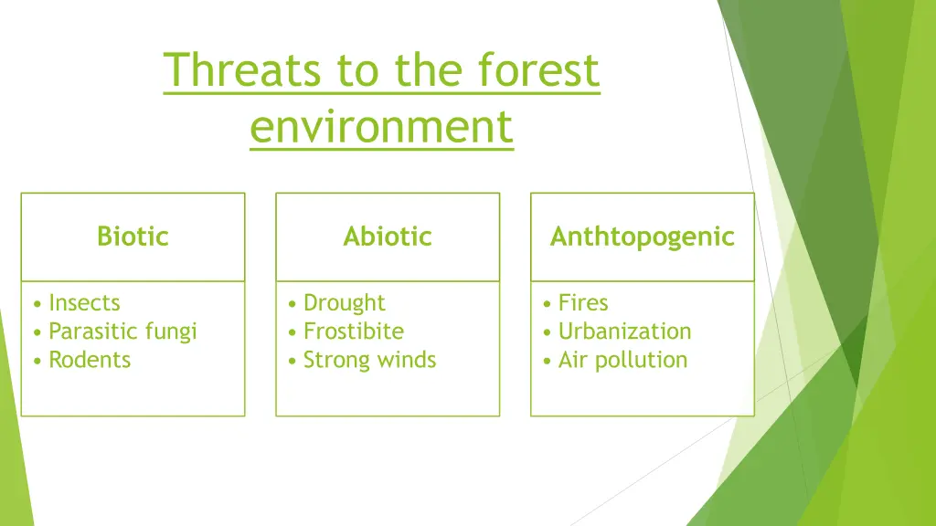 threats to the forest environment