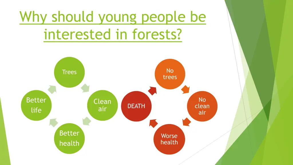 why should young people be interested in forests
