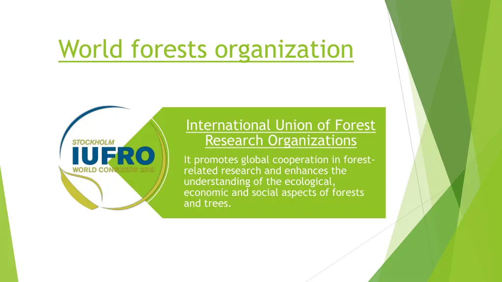 world forests organization