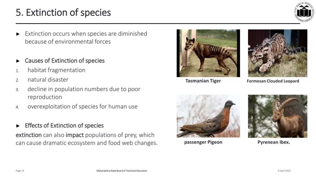 5 5 extinction of species extinction of species