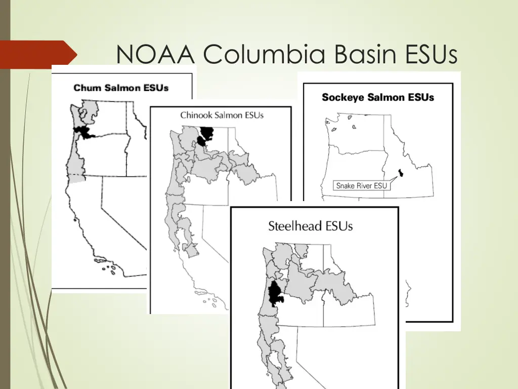 noaa columbia basin esus