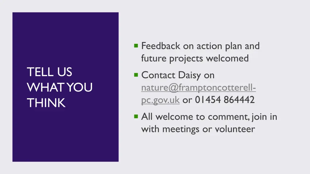 feedback on action plan and future projects