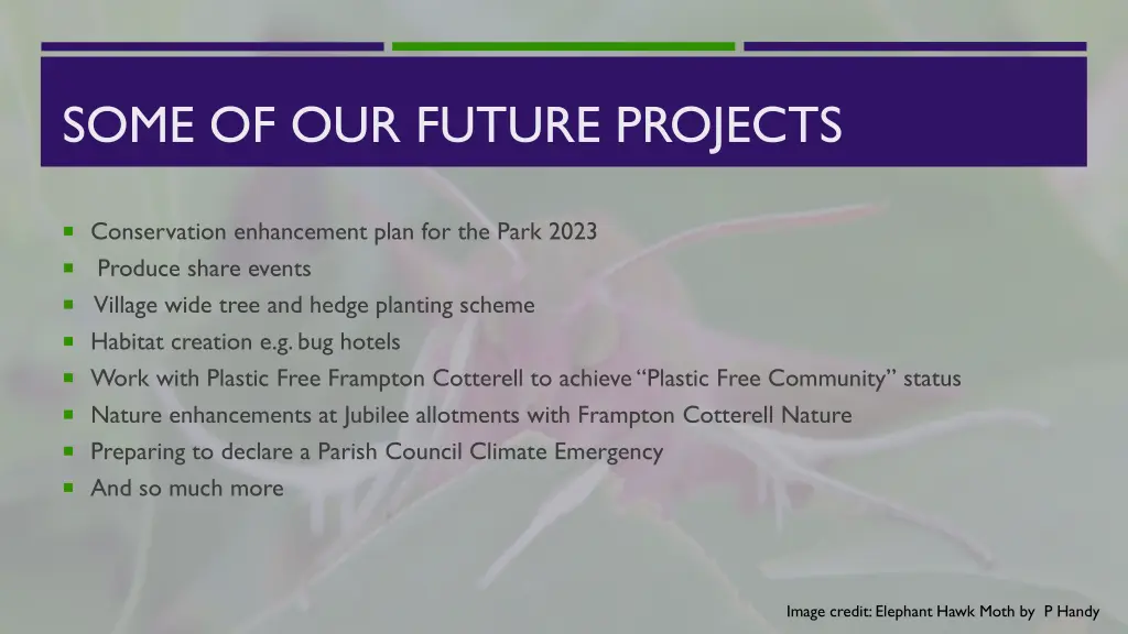 some of our future projects