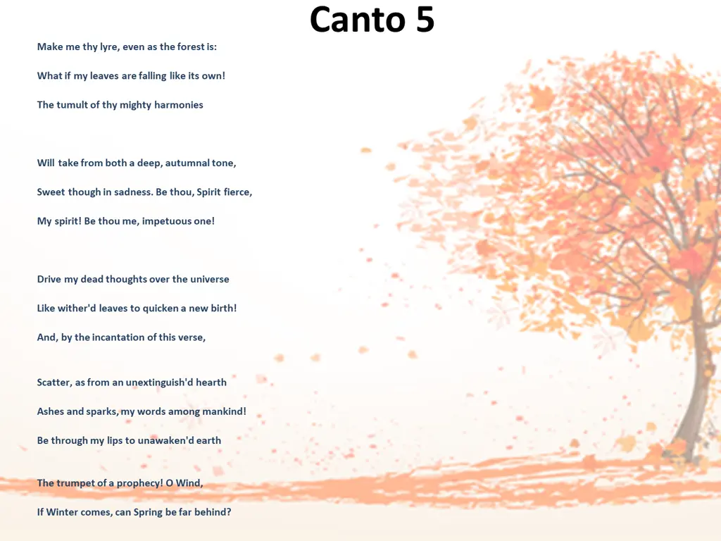 canto 5