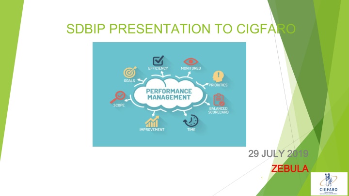 sdbip presentation to cigfaro
