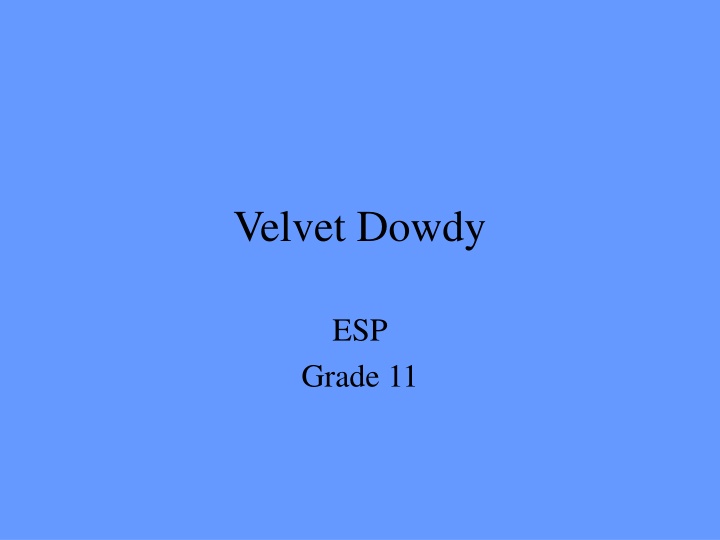 velvet dowdy
