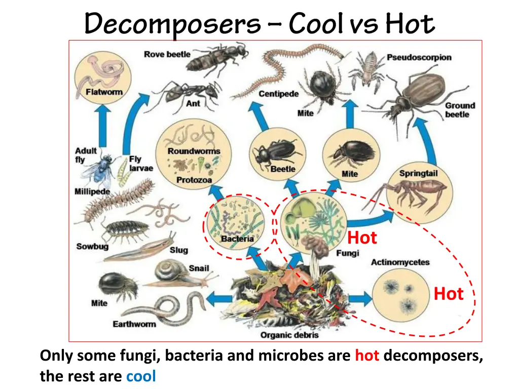 slide3