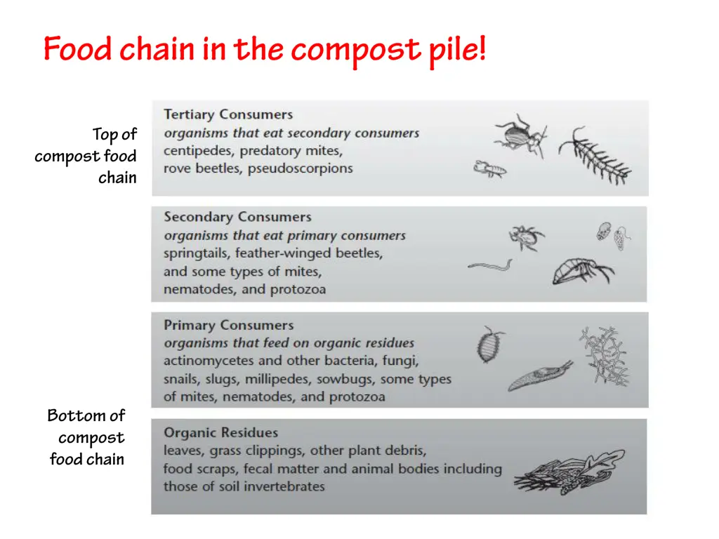 slide5