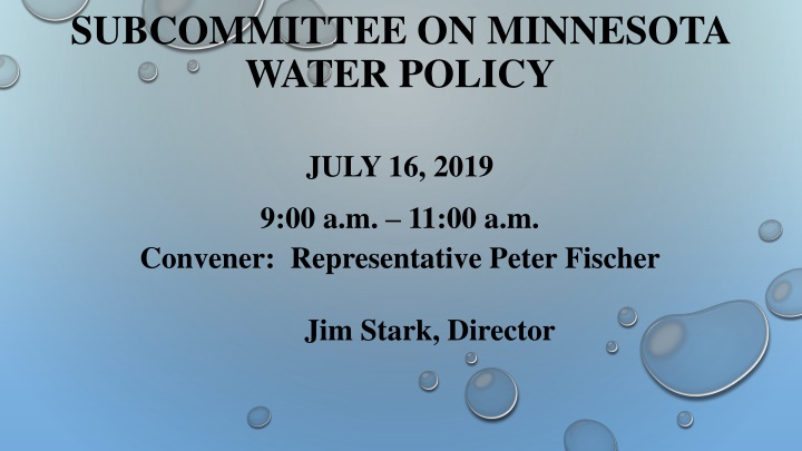 subcommittee on minnesota water policy