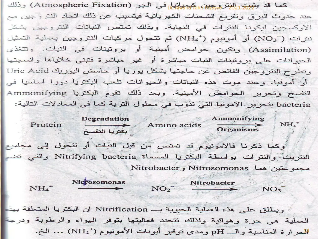 dr alwand tahir dizayee 5