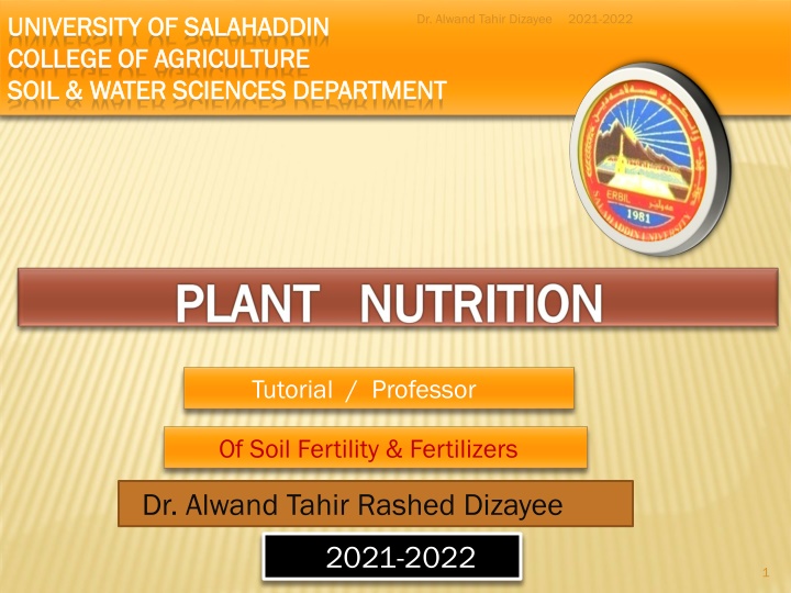 dr alwand tahir dizayee