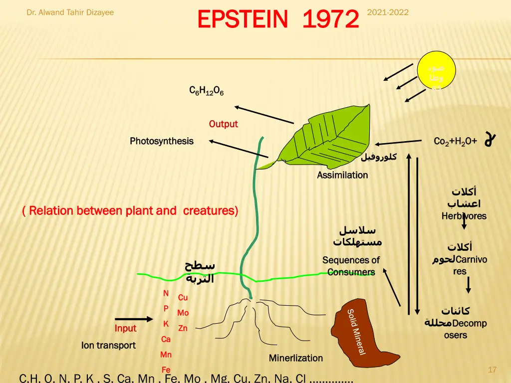 epstein epstein 1972