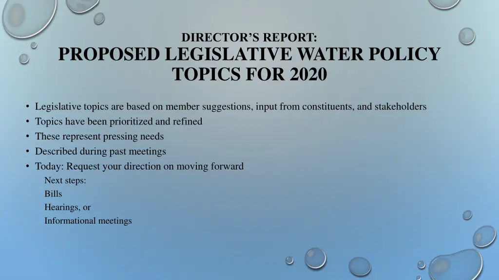 director s report