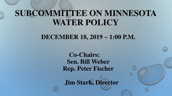 subcommittee on minnesota water policy