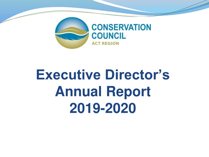 executive director s annual report 2019 2020