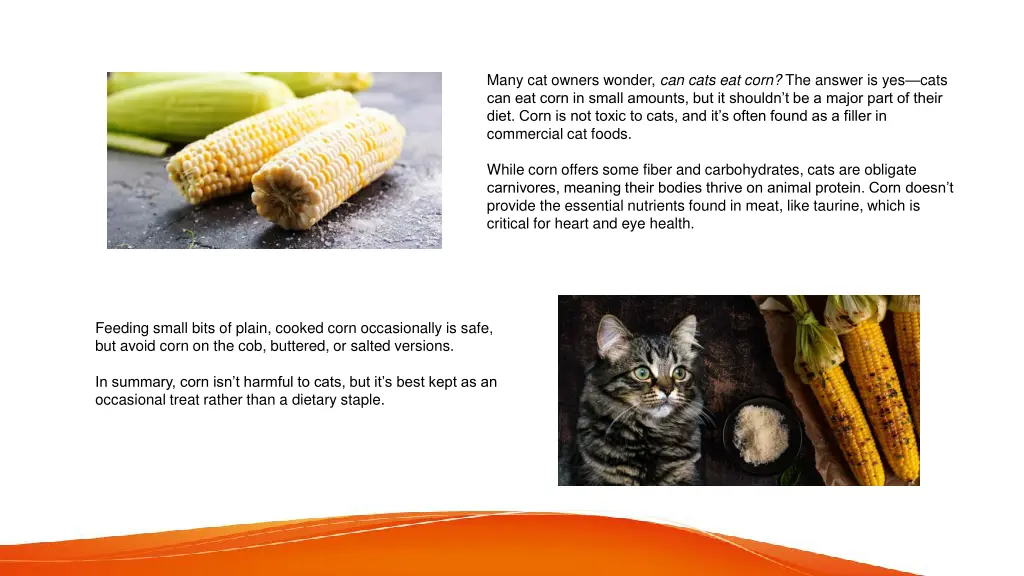 many cat owners wonder can cats eat corn