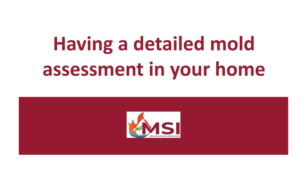 having a detailed mold assessment in your home