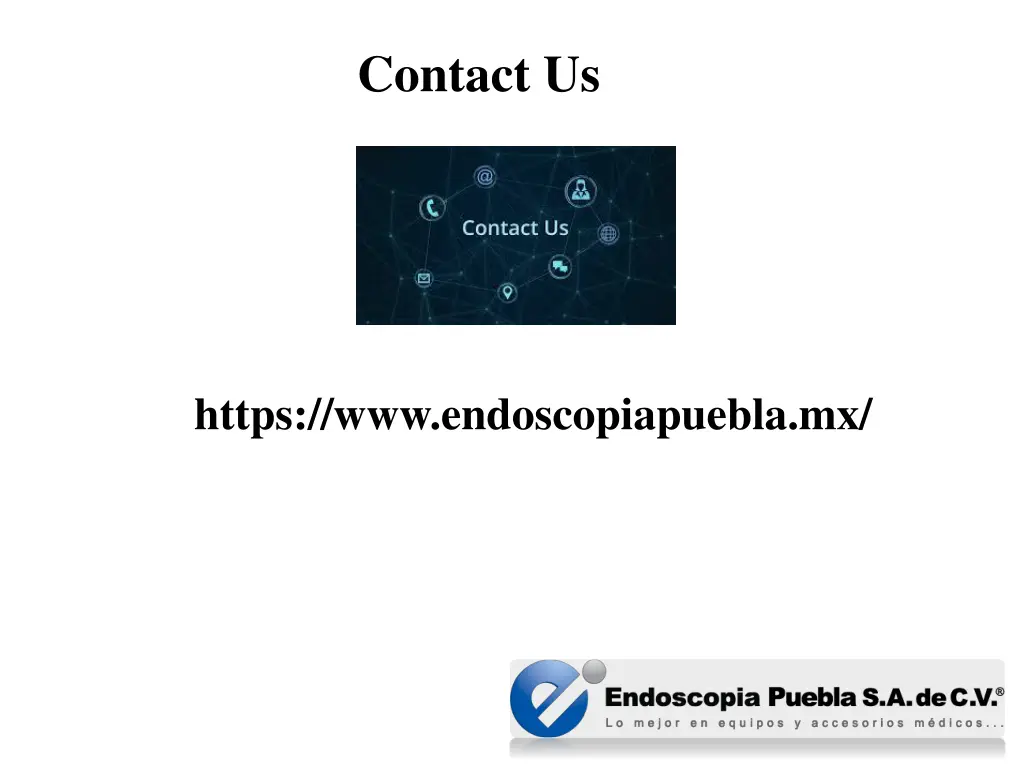 contact us