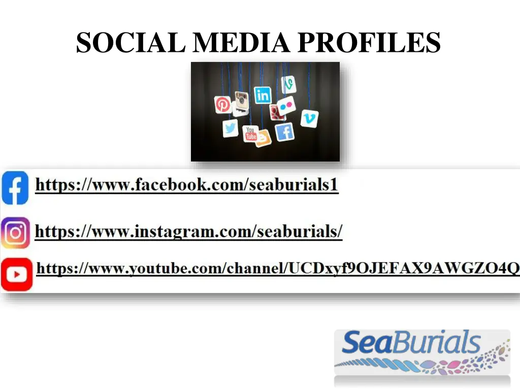 social media profiles