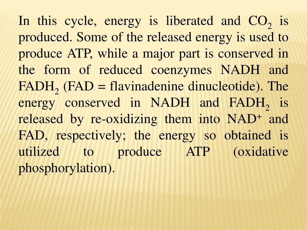 in this cycle energy is liberated