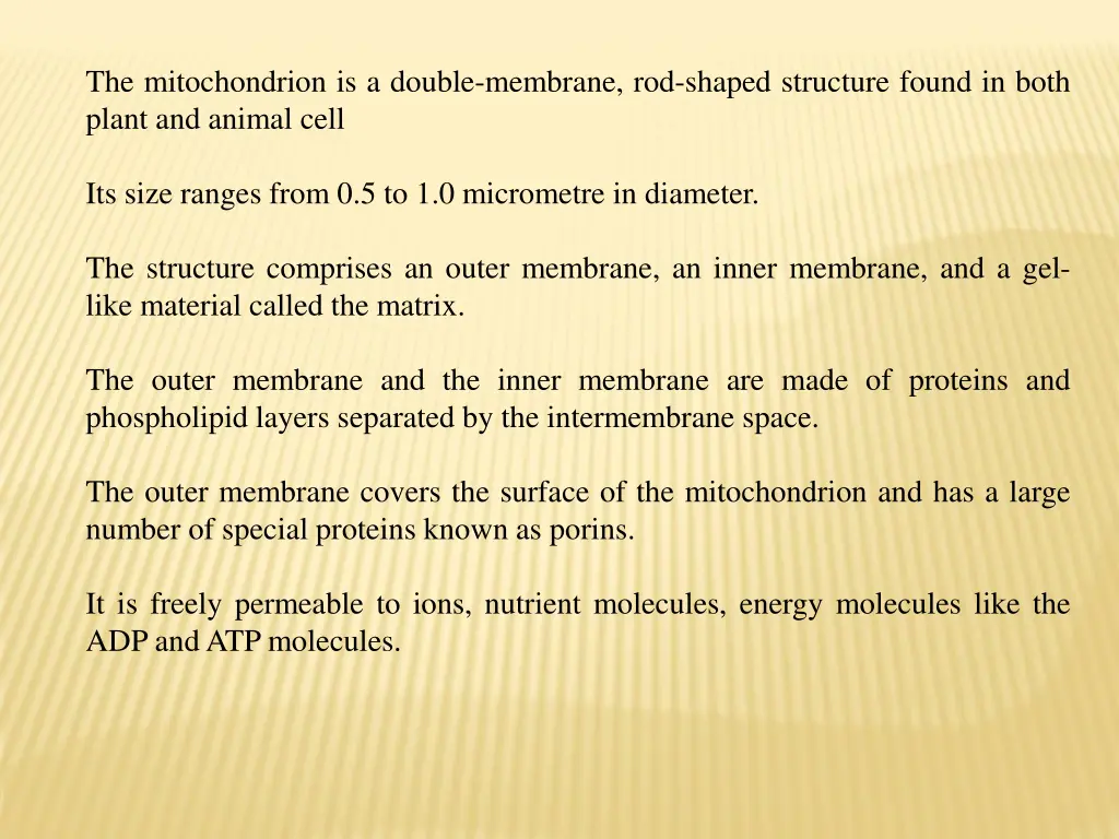 the mitochondrion is a double membrane rod shaped