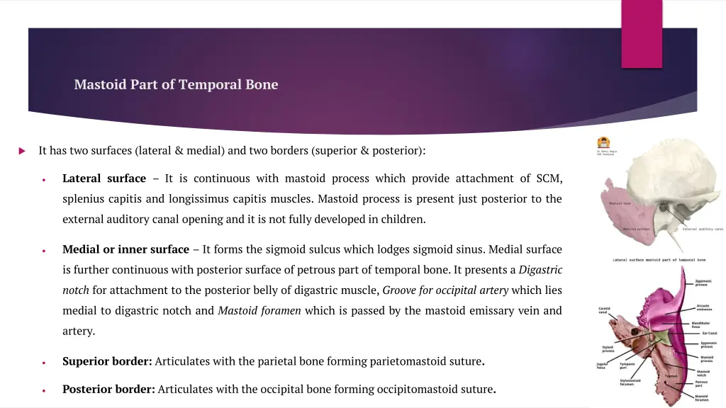 mastoid part of temporal bone 1