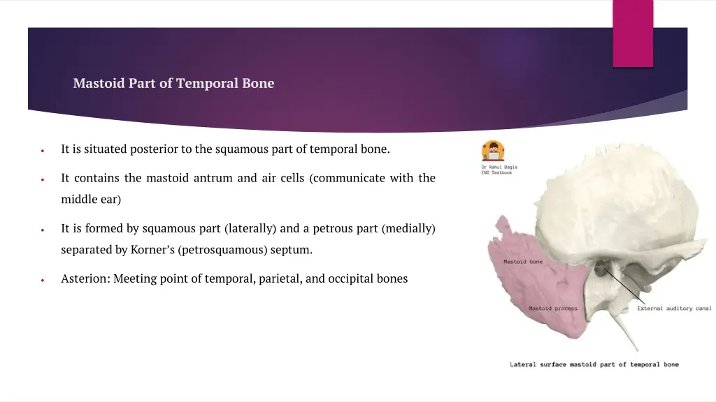 mastoid part of temporal bone