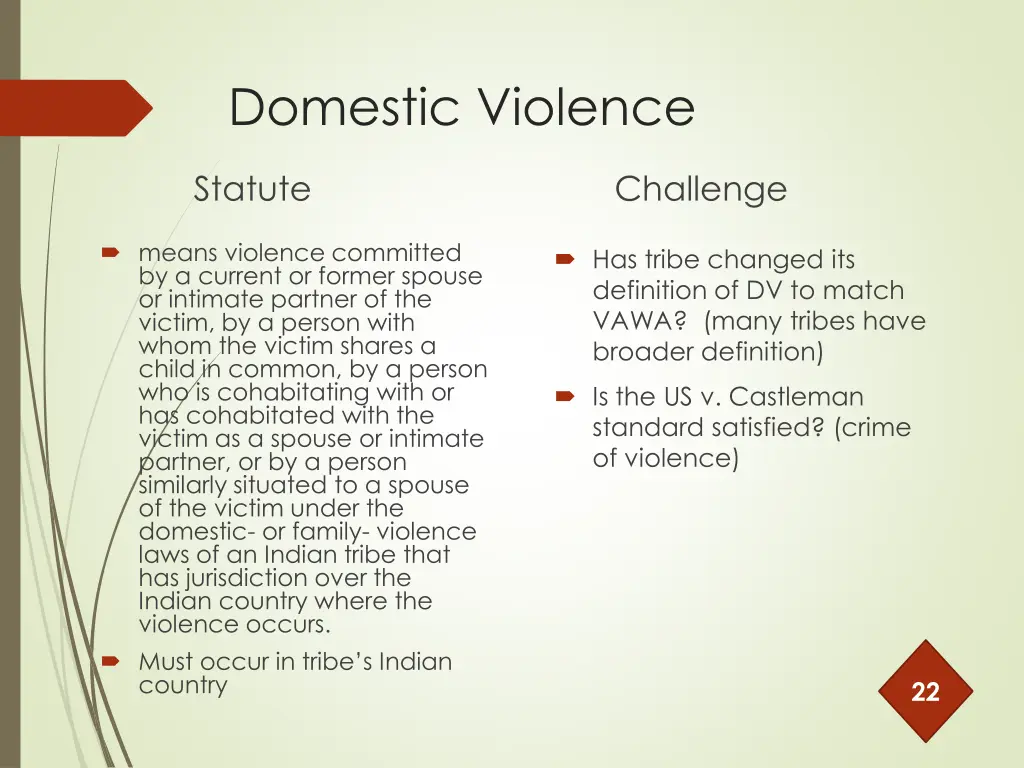 domestic violence