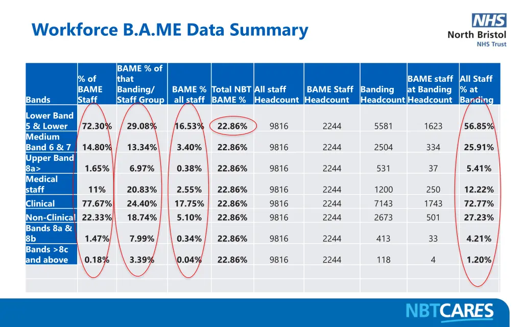 workforce b a me data summary
