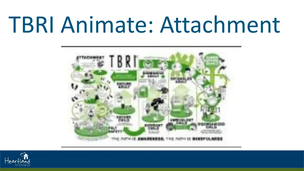 tbri animate attachment