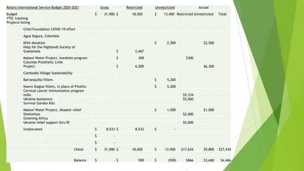 rotary international service budget 2020 2021
