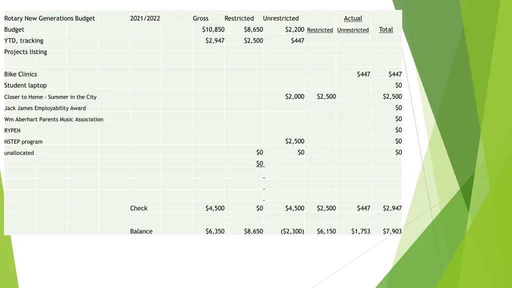 rotary new generations budget