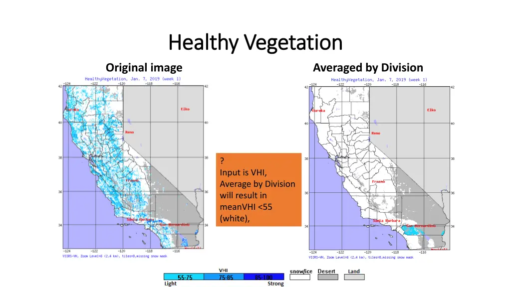 healthy vegetation healthy vegetation
