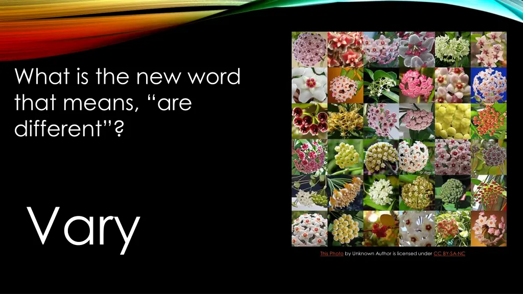 what is the new word that means are different
