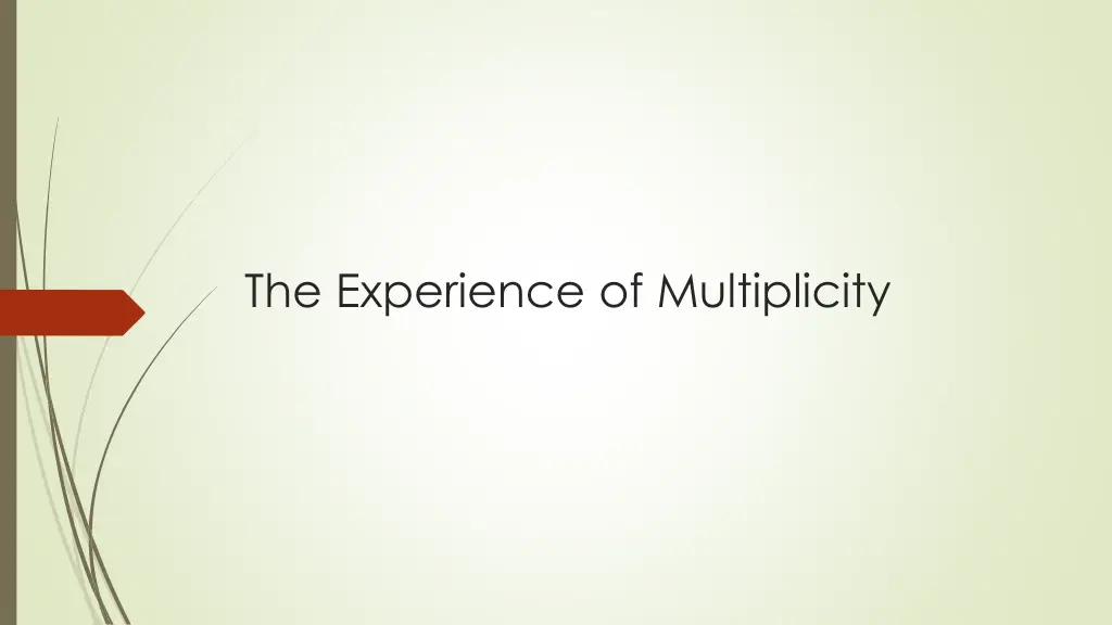 the experience of multiplicity