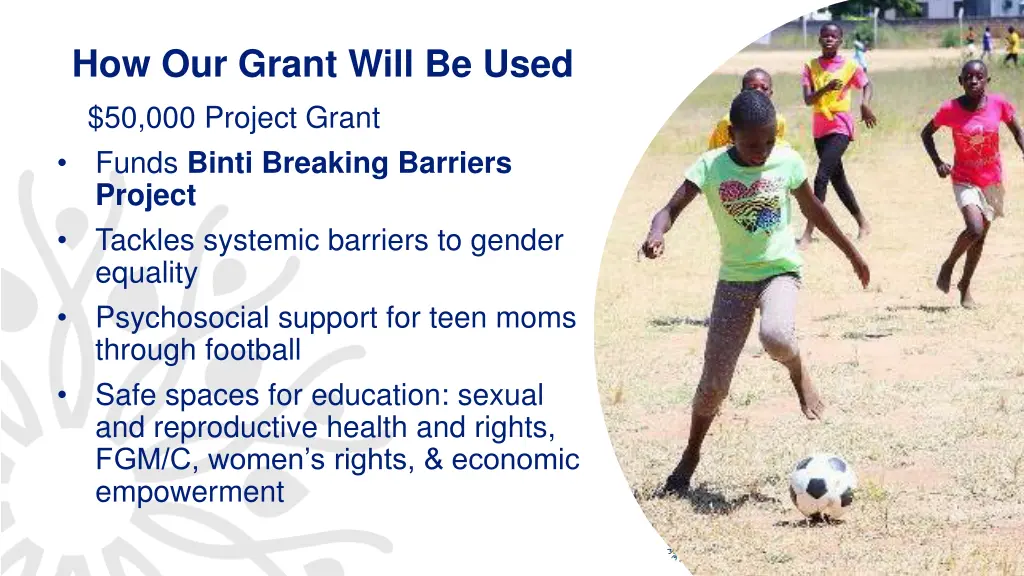 how our grant will be used 50 000 project grant