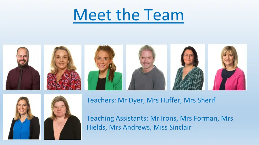 meet the team