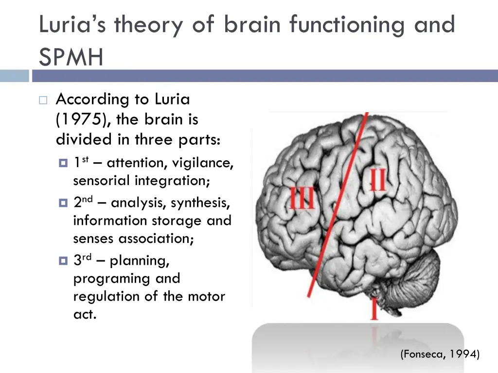 luria s theory of brain functioning and spmh