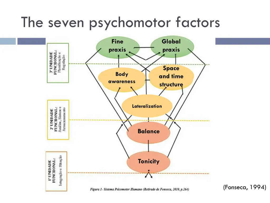 the seven psychomotor factors