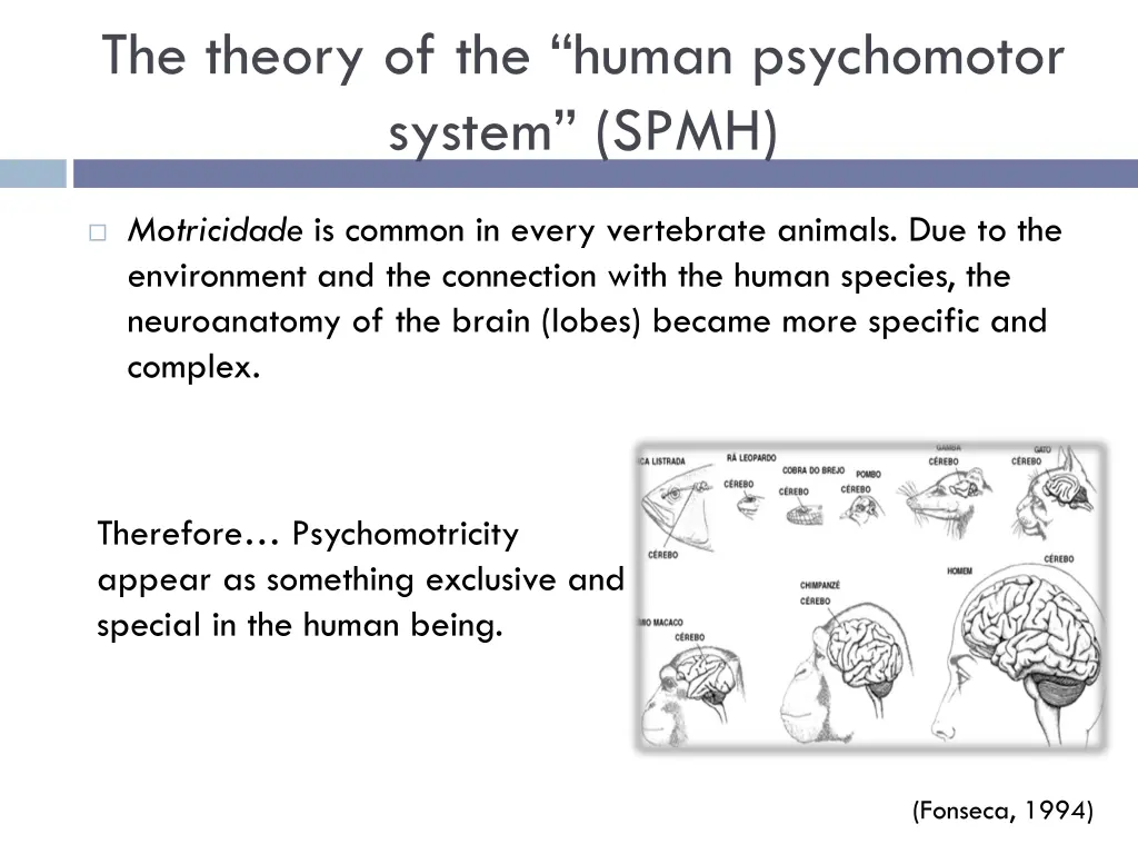 the theory of the human psychomotor system spmh